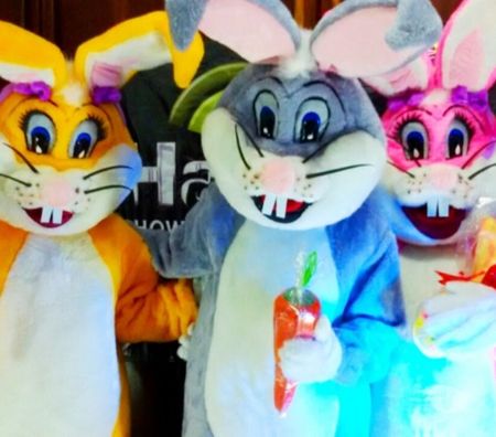 Serviços para eventos Sao Paulo SP Ipiranga - Fotos para Coelho da Pascoa personagens vivos eventos