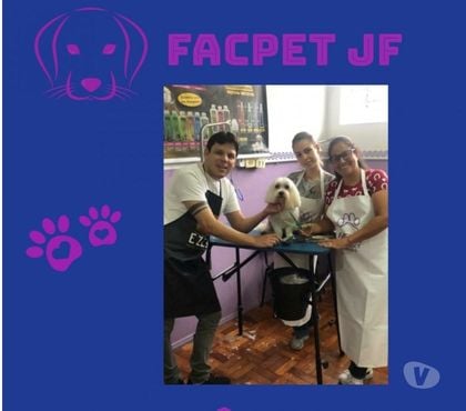 Capacitação profissional - Fotos para Curso Banho&Tosa Profissionalizante