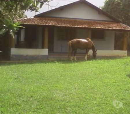 Fazendas - Sitios à venda Taubate SP - Fotos para Sitio de 63,7 hectares no Bairro do Pinheirinho Taubate-SP 