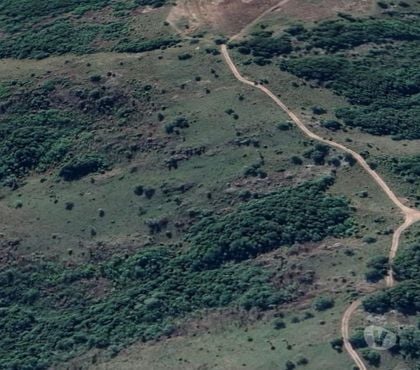 Fazendas - Sitios à venda - Fotos para Fazenda 370ha Pecuária em São Jerônimo RS