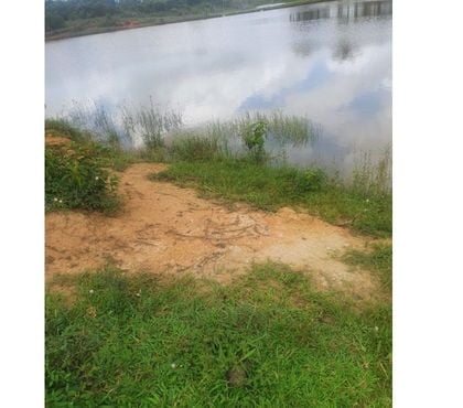 Terrenos - Fotos para Terreno Localizado a margem direita da BR 319