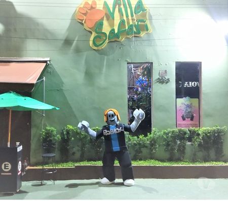 Serviços para eventos Sao Paulo SP Moema - Fotos para Personagem vivo Roblox cover jogo festa