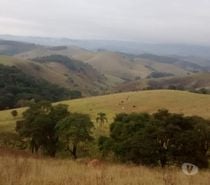 Sitio de 20 alqueires em Lagoinha-SP a 600 metros da Rodovia