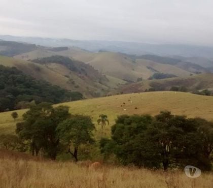Fazendas - Sitios à venda - Fotos para Sitio de 20 alqueires em Lagoinha-SP a 600 metros da Rodovia