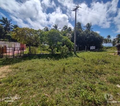 Terrenos - Fotos para Terreno Beira mar - 2.000 m2 - Touros RN