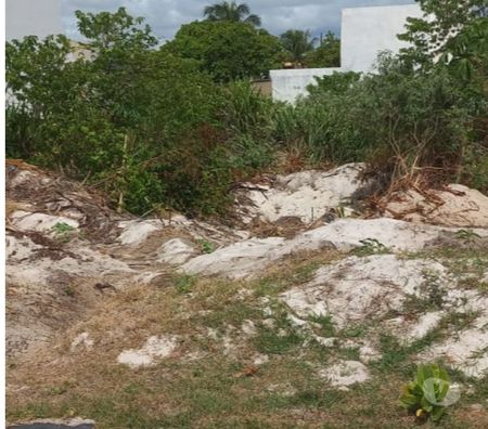 Terrenos Camacari BA - Fotos para Terreno no Condomínio Parque de Jacuípe