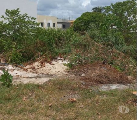 Terrenos Camacari BA - Fotos para Terreno no Condomínio Parque de Jacuípe