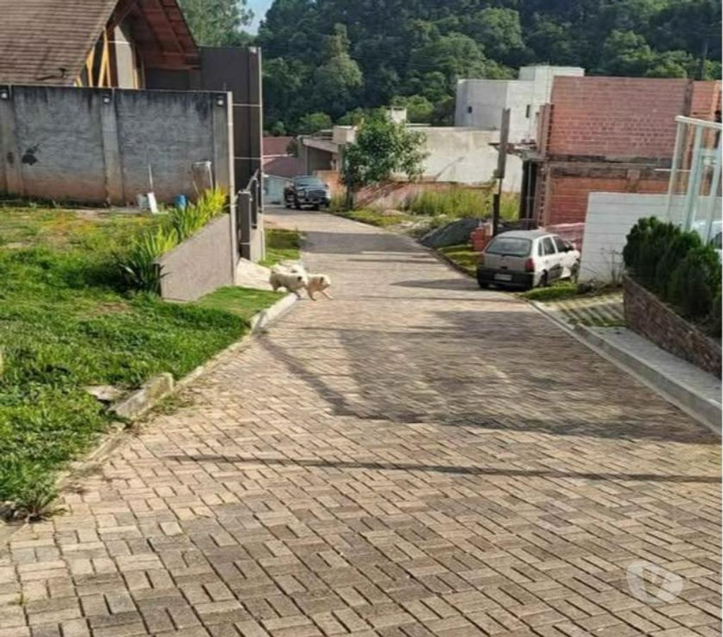 Terrenos Curitiba PR Santa Felicidade - Fotos para Terreno a venda, Orleans, Curitiba