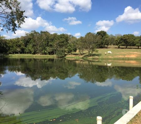 Fazendas - Sitios à venda Tatui SP - Fotos para Espetacular Sítio.Porteira Fechada c 6 Alqueires.Maravilha!