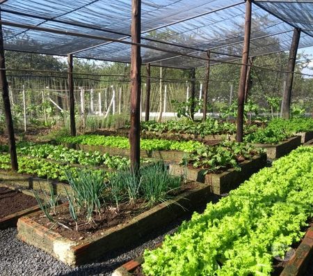 Fazendas - Sitios à venda Tatui SP - Fotos para Espetacular Sítio.Porteira Fechada c 6 Alqueires.Maravilha!