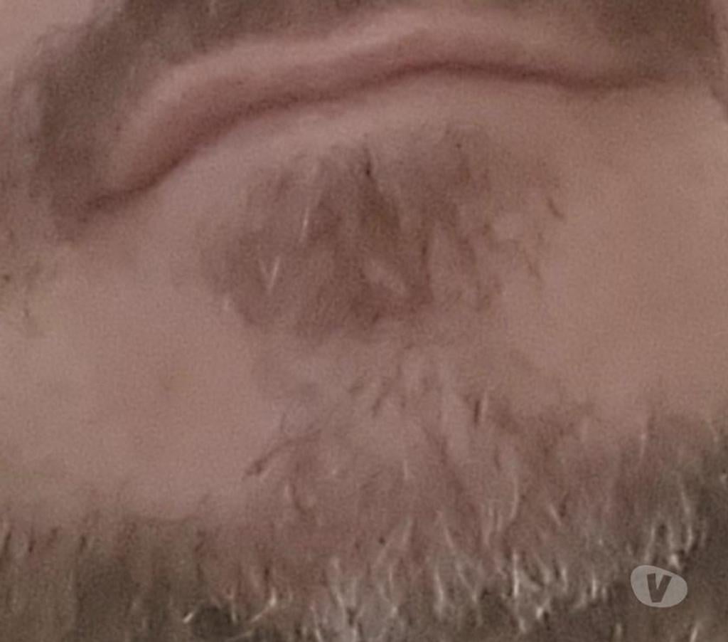 Homem procura Homem Ananindeua PA - Fotos para Bora curti no sigilo (LEIA COM ATENÇÃO)