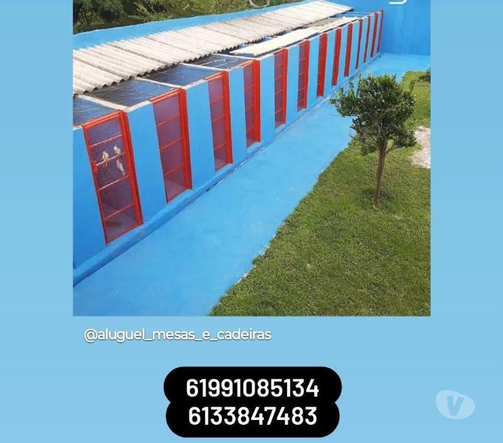 Veterinários - Serviços - Acessórios Gama DF - Fotos para Hotel Para Cães e Gatos 61 991085134 whatsapp.