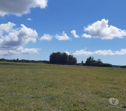 Fazendas - Sitios à venda - Fotos para Área Urbana 94ha no asfalto Osório RS