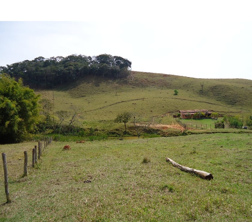 Fazendas - Sitios à venda Taubate SP - Fotos para Sitio de 7,5 alqueires em Taubaté a 800 ms da Rodovia