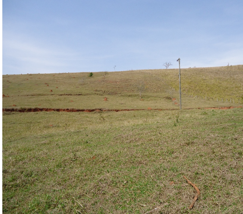 Fazendas - Sitios à venda Taubate SP - Fotos para Sitio de 7,5 alqueires em Taubaté a 800 ms da Rodovia