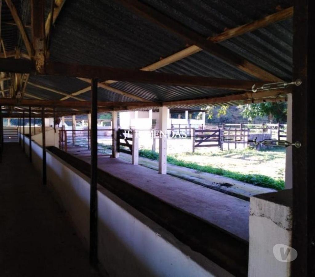 Fazendas - Sitios à venda Belmiro Braga MG - Fotos para Fazenda em Belmiro Braga – MG – 307 hectares