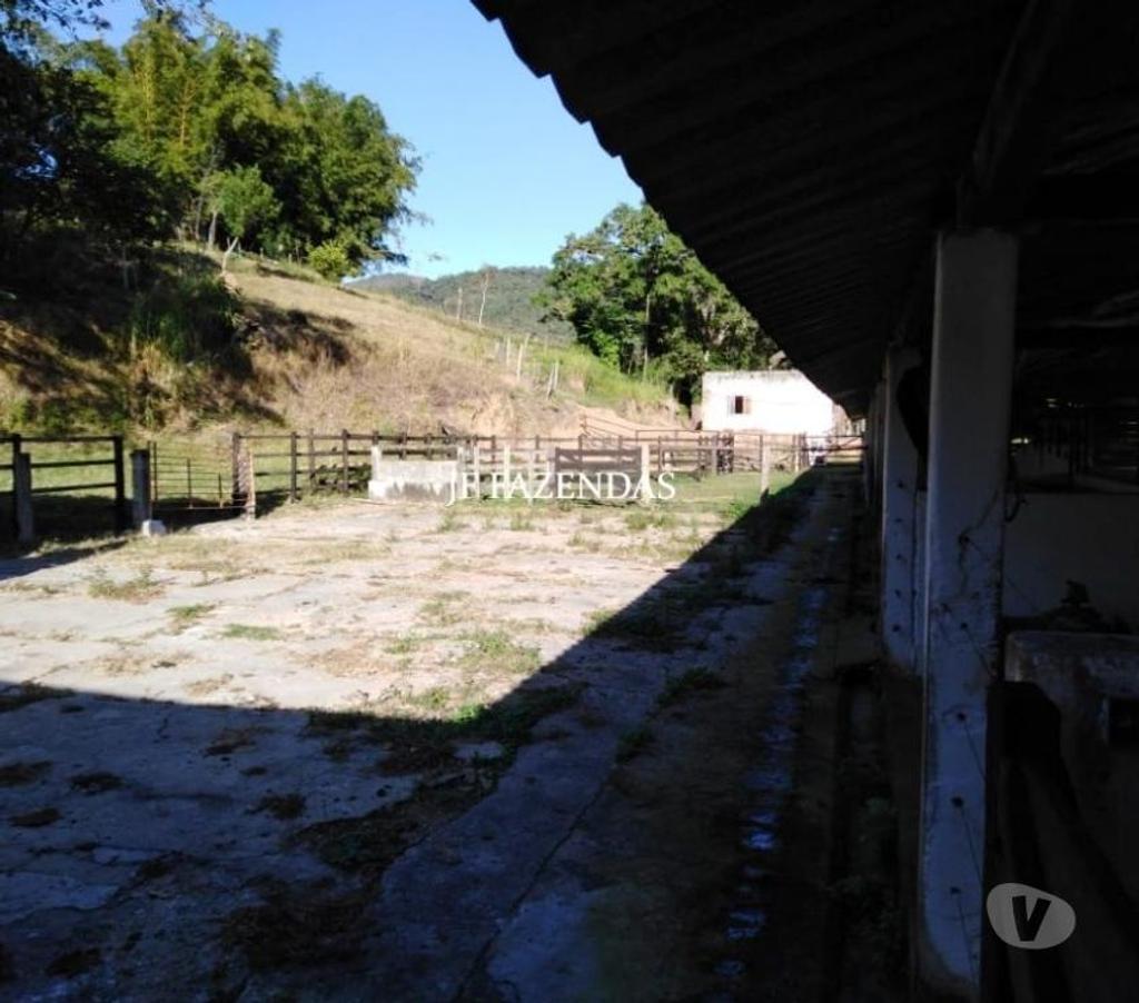 Fazendas - Sitios à venda Belmiro Braga MG - Fotos para Fazenda em Belmiro Braga – MG – 307 hectares