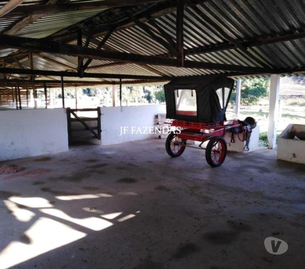 Fazendas - Sitios à venda Belmiro Braga MG - Fotos para Fazenda em Belmiro Braga – MG – 307 hectares