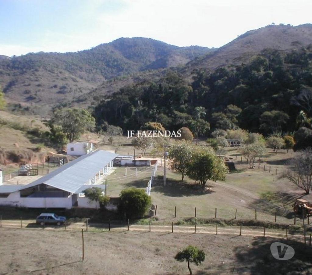 Fazendas - Sitios à venda Belmiro Braga MG - Fotos para Fazenda em Belmiro Braga – MG – 307 hectares