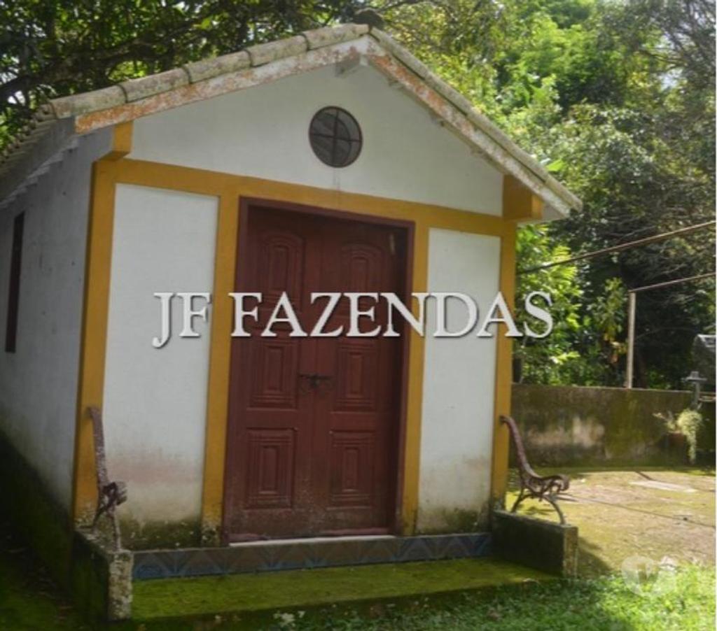 Fazendas - Sitios à venda Simao Pereira MG - Fotos para Fazenda em Simão Pereira – MG 48,5 hectares