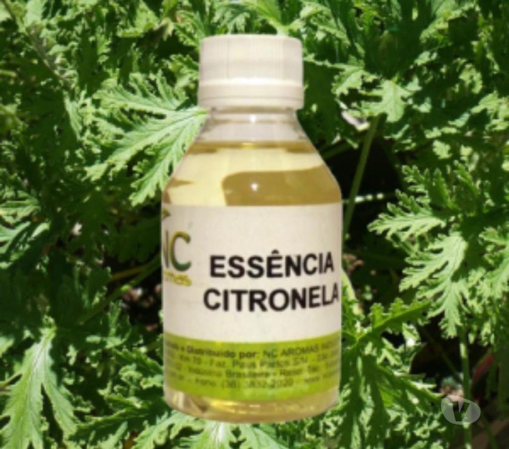 Diversos Juiz de Fora MG - Fotos para ESSÊNCIA CITRONELA 100 ML