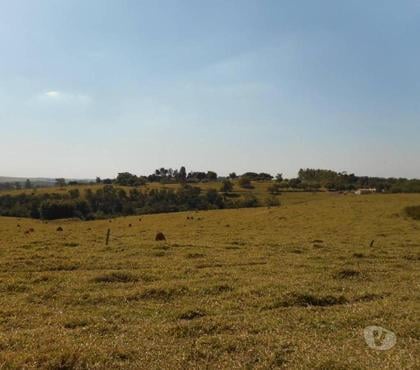 Lotes - images_alt_text Espetacular Área de 763.495 m². Tudo legalizada.ZEIS 2