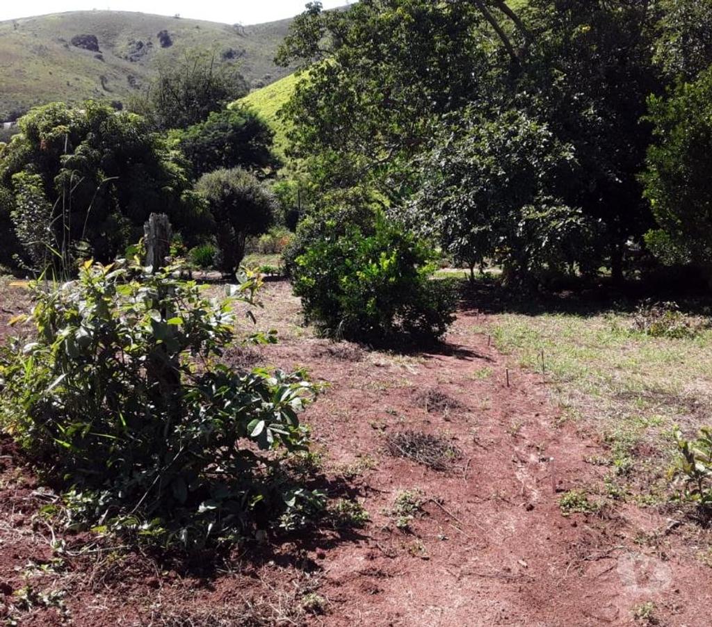 Fazendas - Sitios à venda Sao Luis do Paraitinga SP - Fotos para Ótimo sitio de 2 alqueires ) em São Luiz do Paraitinga-SP