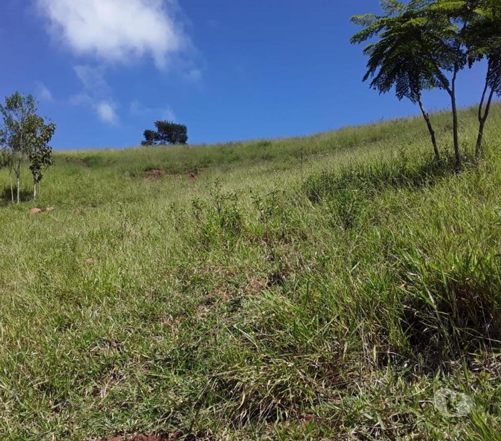 Fazendas - Sitios à venda Sao Luis do Paraitinga SP - Fotos para Ótimo sitio de 2 alqueires ) em São Luiz do Paraitinga-SP