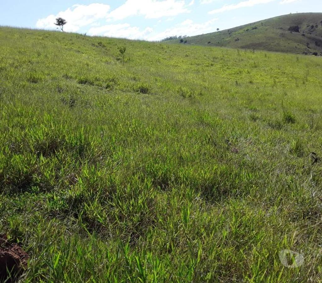 Fazendas - Sitios à venda Sao Luis do Paraitinga SP - Fotos para Ótimo sitio de 2 alqueires ) em São Luiz do Paraitinga-SP