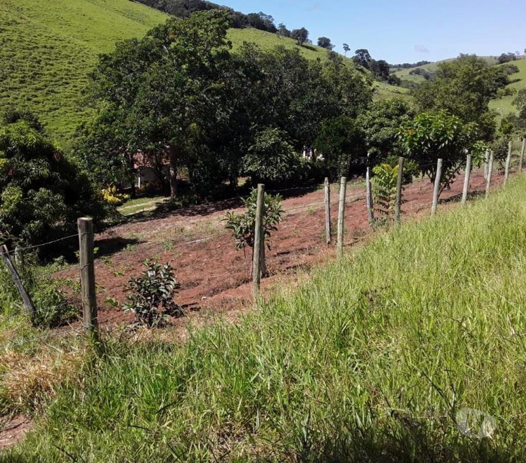 Fazendas - Sitios à venda Sao Luis do Paraitinga SP - Fotos para Ótimo sitio de 2 alqueires ) em São Luiz do Paraitinga-SP