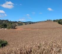 Excelente fazenda para grãos e café- sul de Minas Gerais