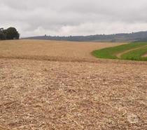 Excelente fazenda para grãos e café sul de Minas Gerais