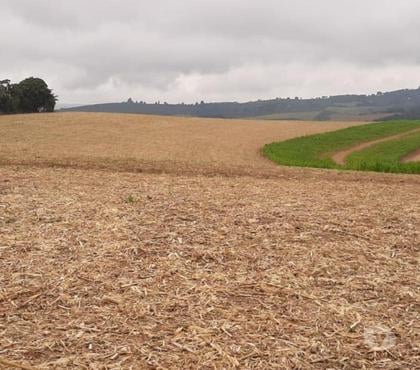 Fazendas - Sitios à venda - Fotos para Excelente fazenda para grãos e café sul de Minas Gerais