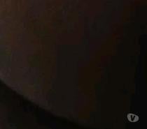 Procuro por homens gordos e Ativos