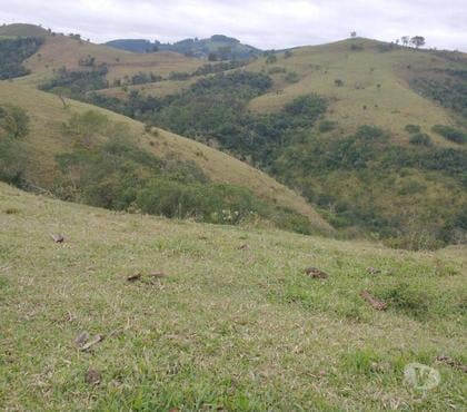 Fazendas - Sitios à venda - images_alt_text Fazenda com 64 alqueires para pecuária