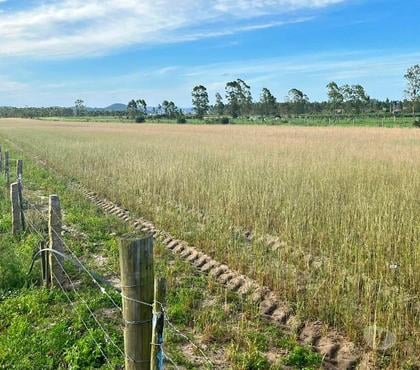 Lotes - Fotos para Terreno no Riachinho - JaguarunaSC