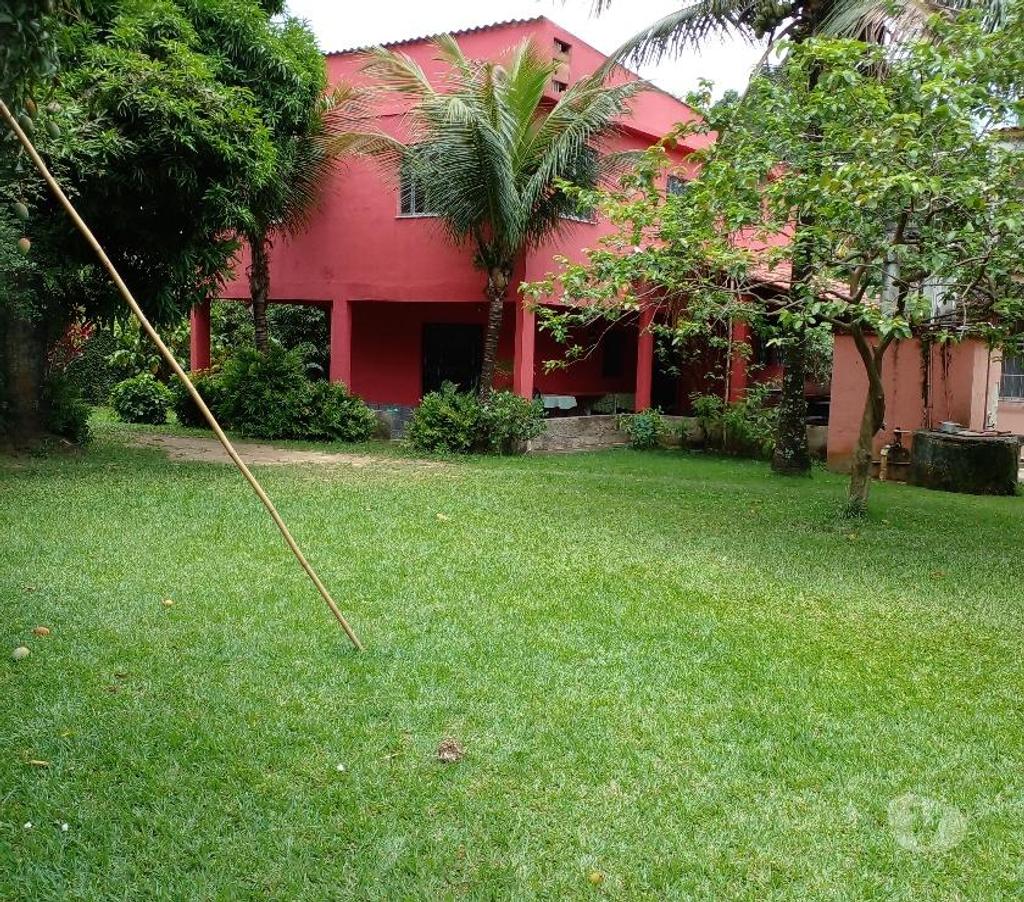 Fazendas - Sitios à venda Itaguai RJ - Fotos para Sítio 3.379M² Porteira Fechada Santa Cândida Itaguaí RJ 