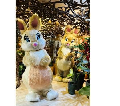 Serviços para Eventos Centro-Sul Belo Horizonte MG - Fotos para COELHO DA PASCOA E CAÇA AOS OVOS