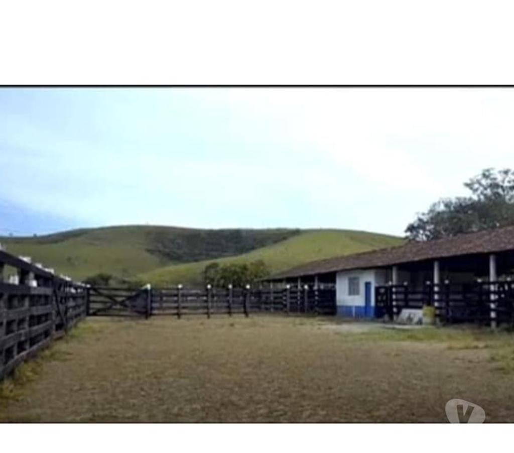 Fazendas - Sitios à venda Roseira SP - Fotos para MAGNÍFICA FAZENDA DE 213 ALQUEIRES OU 515,46 HECTARES