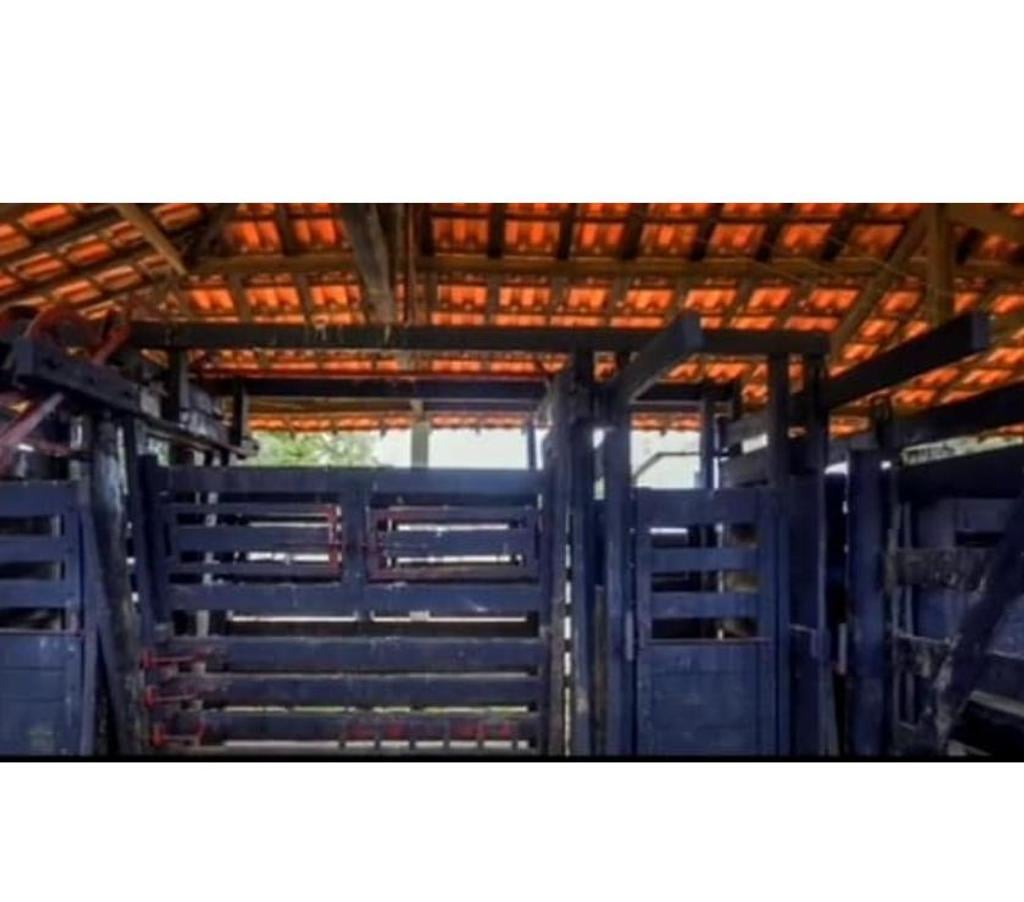 Fazendas - Sitios à venda Roseira SP - Fotos para MAGNÍFICA FAZENDA DE 213 ALQUEIRES OU 515,46 HECTARES