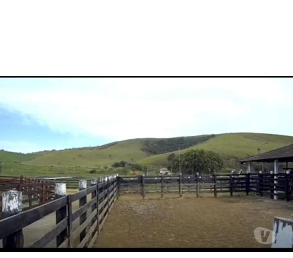 Fazendas - Sitios à venda Roseira SP - Fotos para MAGNÍFICA FAZENDA DE 213 ALQUEIRES OU 515,46 HECTARES