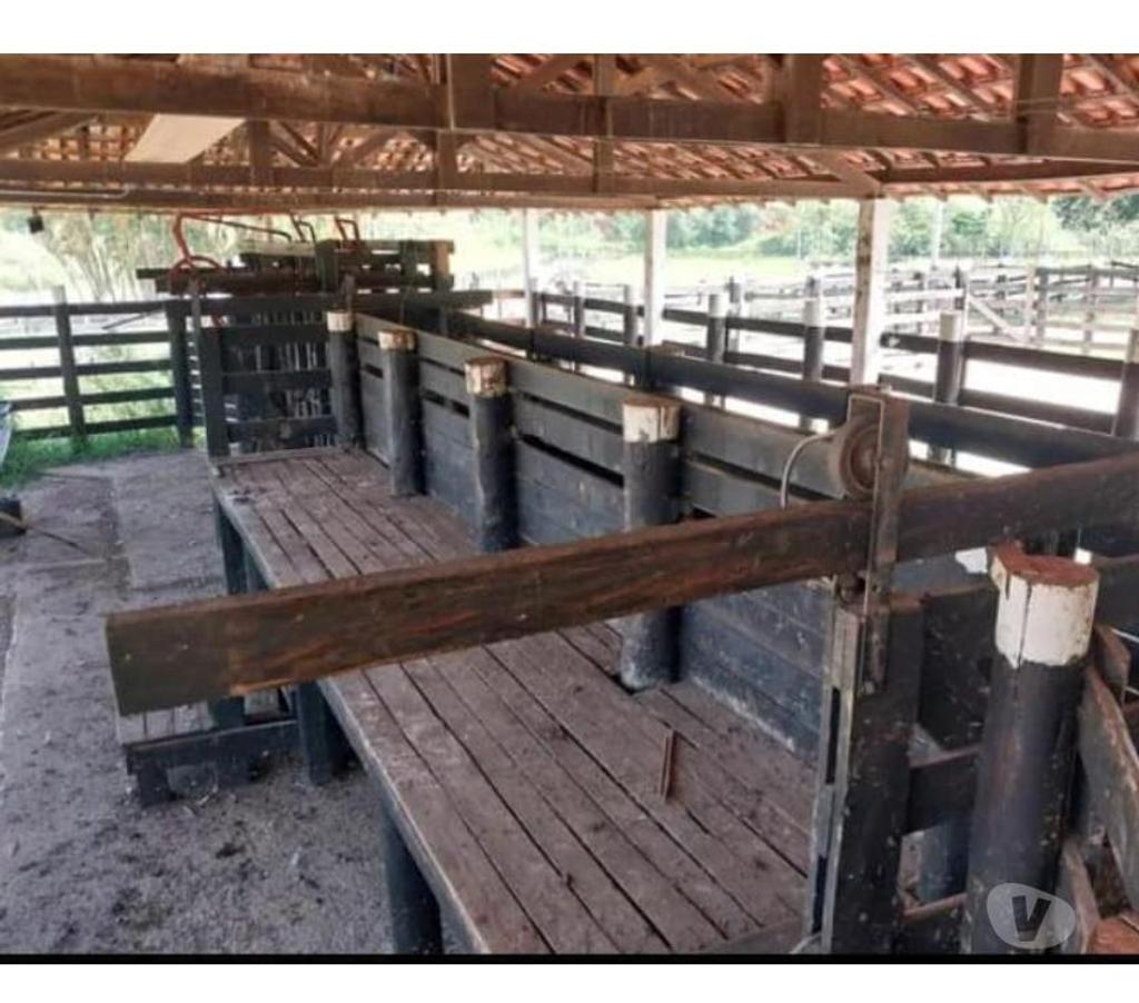 Fazendas - Sitios à venda Roseira SP - Fotos para MAGNÍFICA FAZENDA DE 213 ALQUEIRES OU 515,46 HECTARES