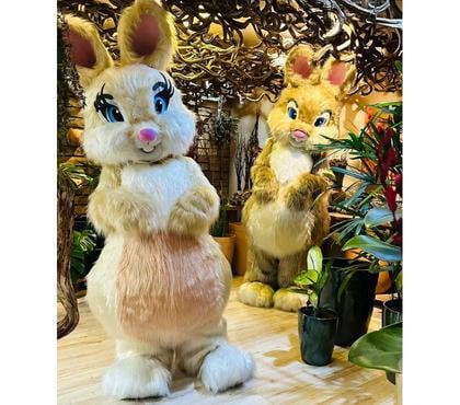 Serviços para eventos Sion Belo Horizonte MG - Fotos para PERSONAGENS PÁSCOA, COELHOS DA PÁSCOA BELO HORIZONTE