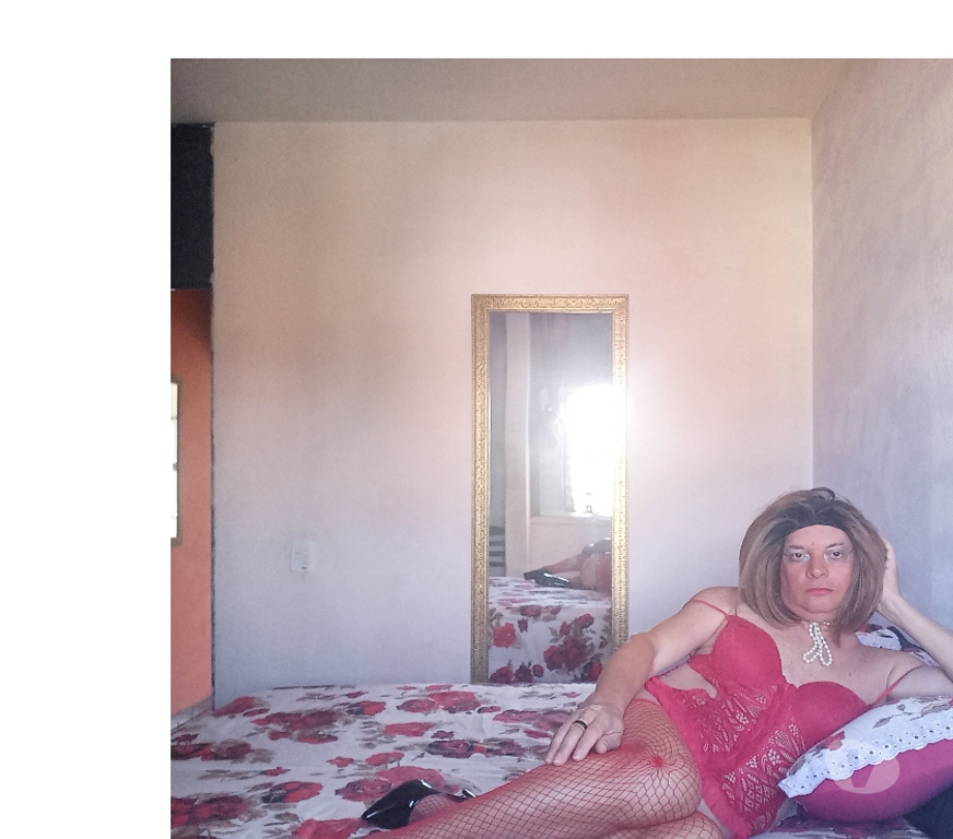 Encontros Casuais Campinas SP - Fotos para Fercdzinha chupa macho no sigilo