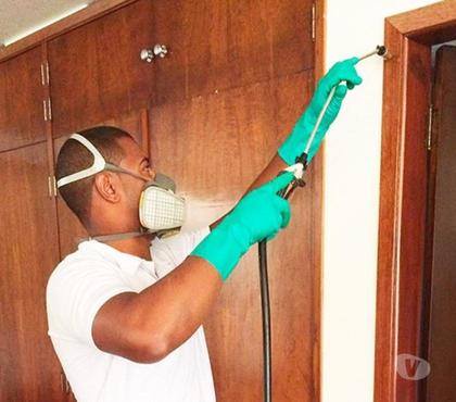 Profissionais liberais - Fotos para dedetizaçao campinas 19 97416-5299