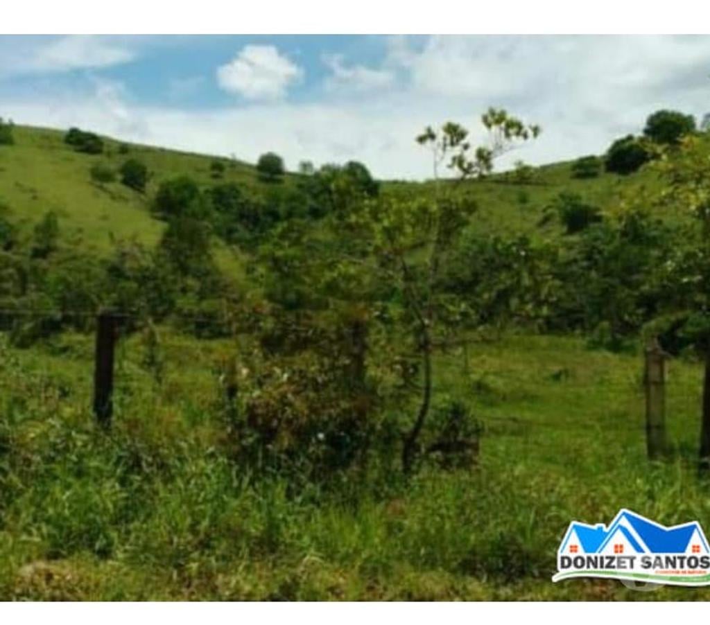 Fazendas - Sitios à venda Taubate SP - Fotos para Excelente sítio de 63,7 hectares em Taubaté-SP 