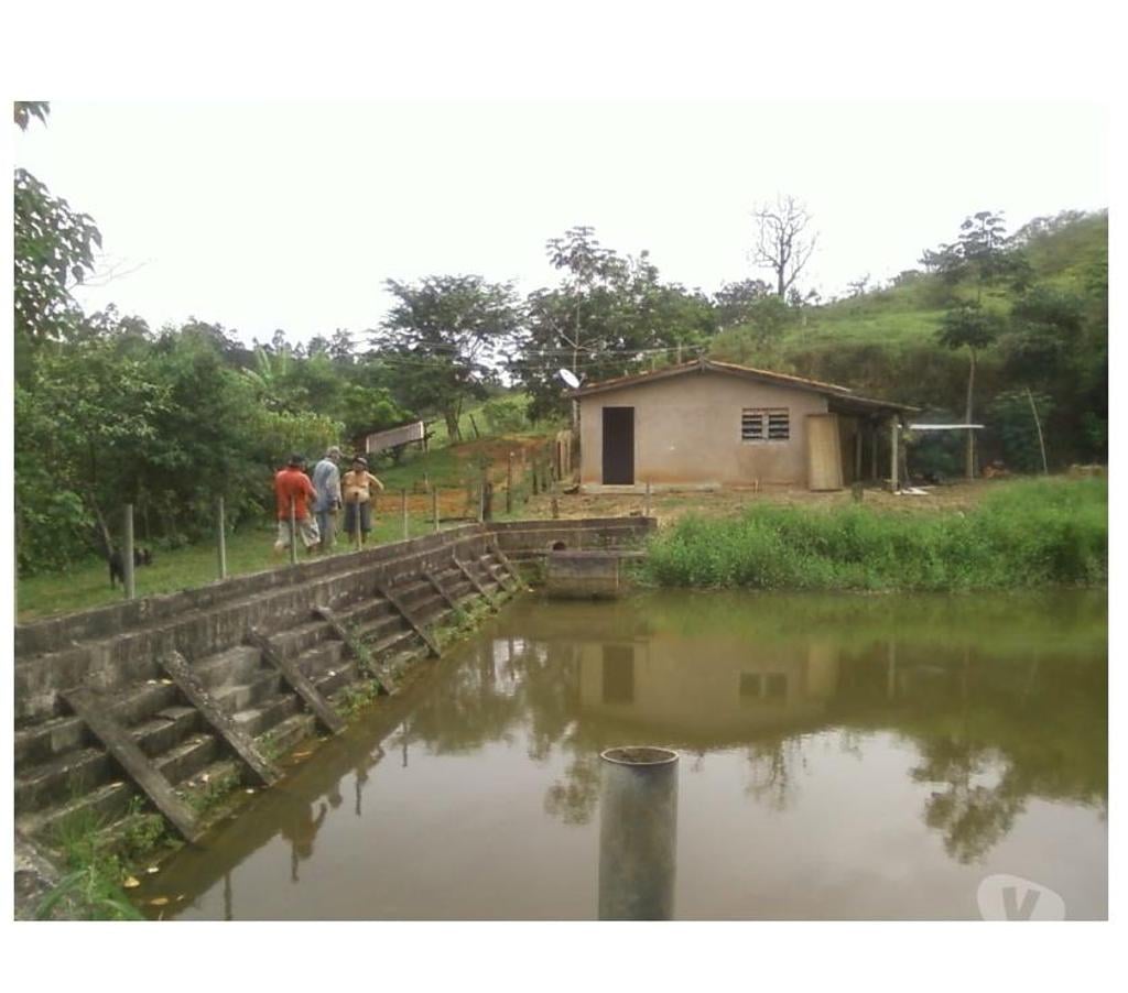 Fazendas - Sitios à venda Taubate SP - Fotos para Excelente sítio de 63,7 hectares em Taubaté-SP 