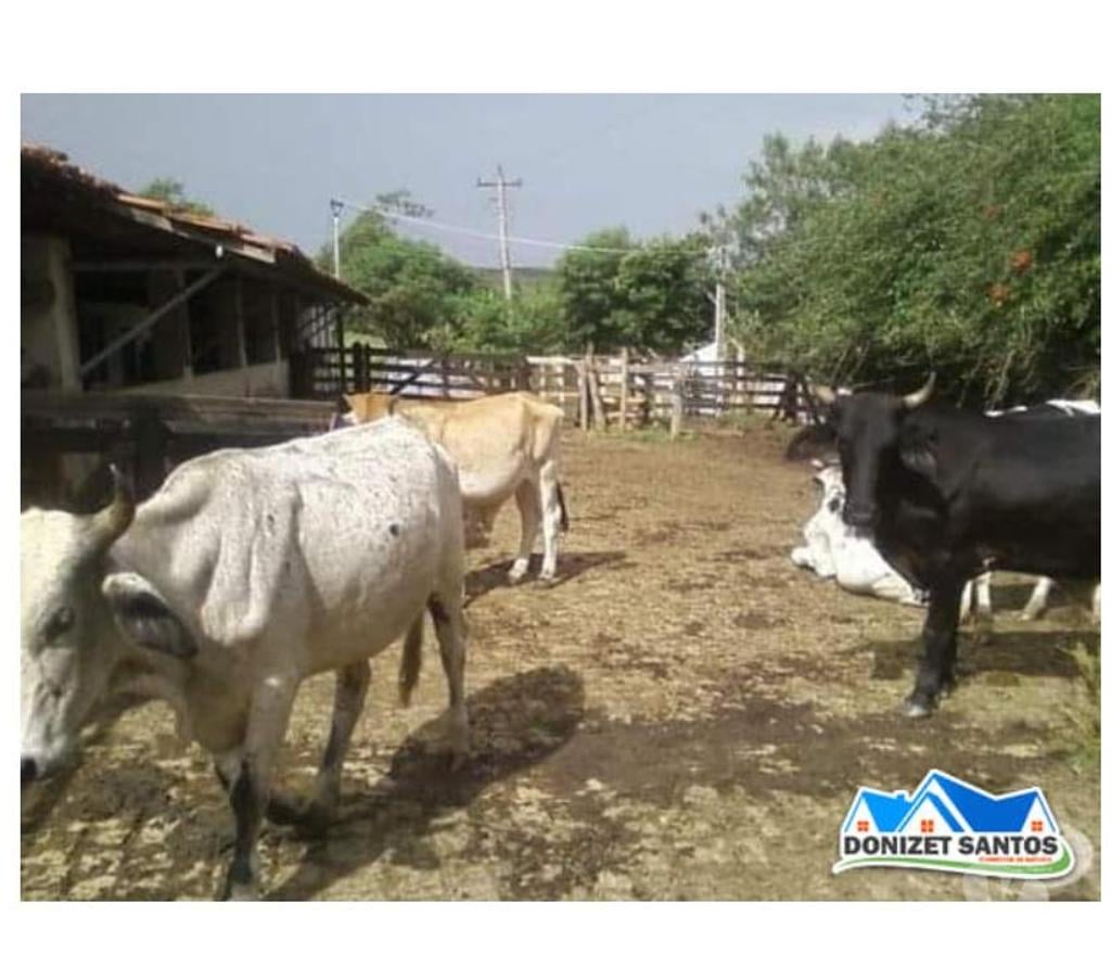 Fazendas - Sitios à venda Taubate SP - Fotos para Excelente sítio de 63,7 hectares em Taubaté-SP 