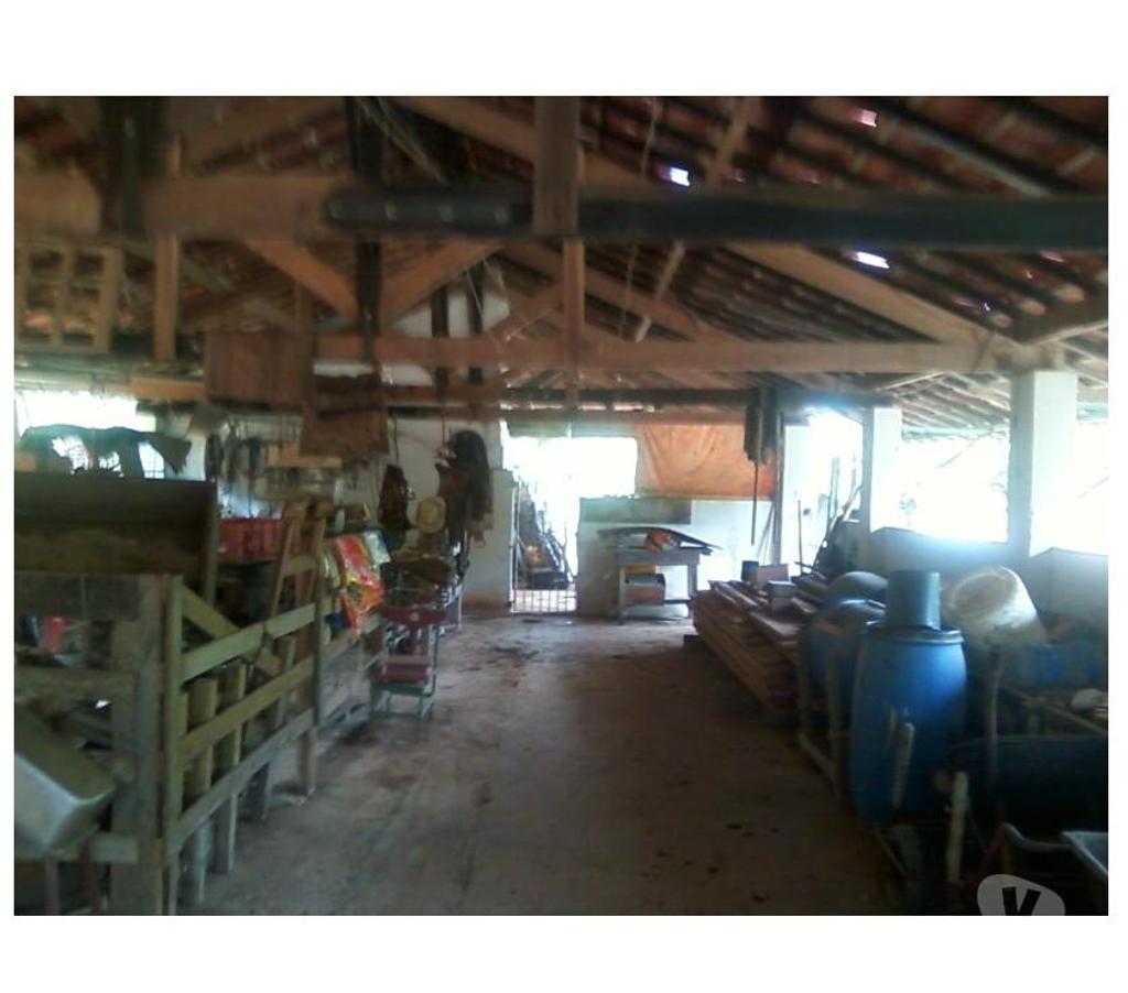 Fazendas - Sitios à venda Taubate SP - Fotos para Excelente sítio de 63,7 hectares em Taubaté-SP 