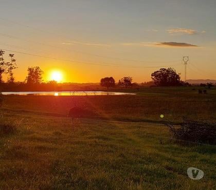 Fazendas - Sitios à venda - Fotos para Sítio Completo 31ha Glorinha RS